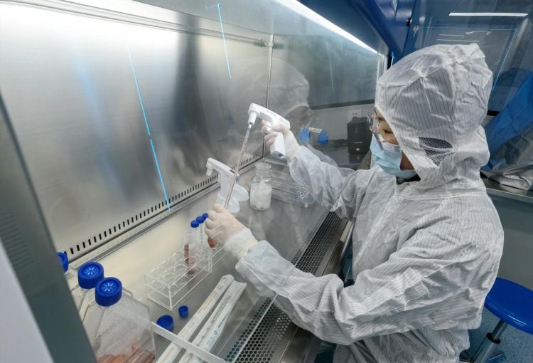 深圳細胞產業迎來新引擎 “大灣區國際綜合細胞庫與區域制備中心”揭牌，加速技術研發與應用